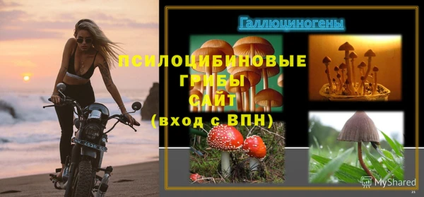 мескалин Алексин