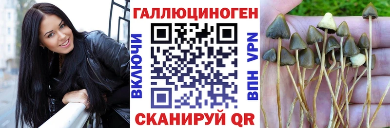 маркетплейс состав  Джанкой  Псилоцибиновые грибы ЛСД 