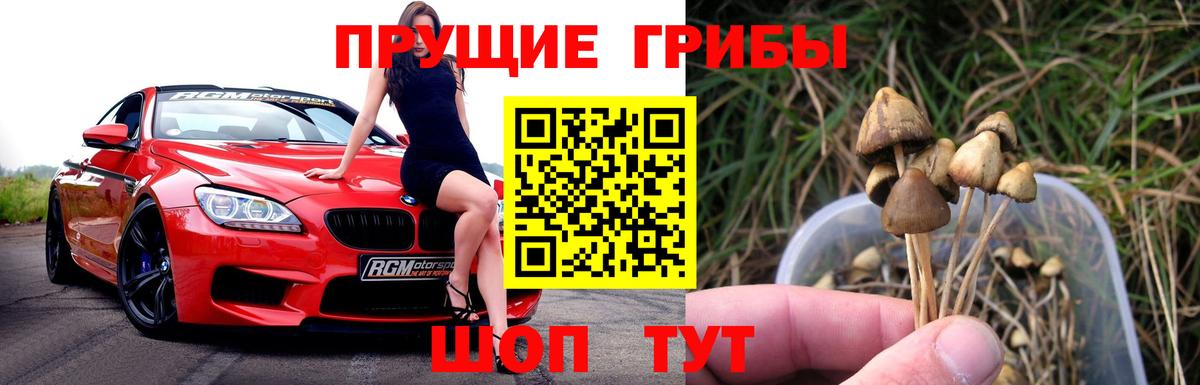 Джанкой  Псилоцибиновые грибы GOLDEN TEACHER  Вход с VPN  Галлюциногенные грибы Psilocybine cubensis 